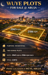 Commercial Property for sale Wuye Central Business District World Trade Centre Central Business District Abuja