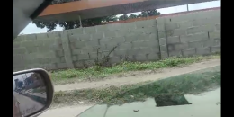 Land for sale Off Jimoh Odutola Street Via Eric moore Surulere Lagos
